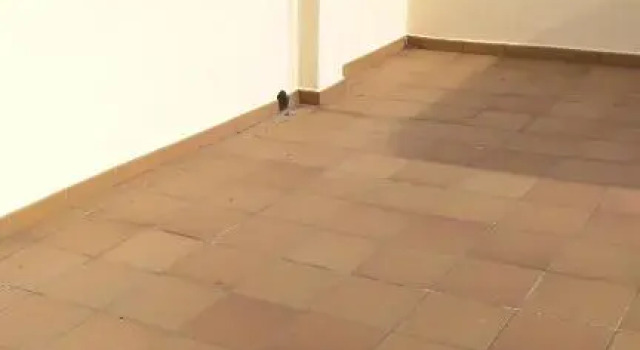 Casa iaia L' Escala Empúries SERT15