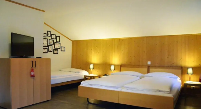 Трёхместный номер Standard Hotel Garni Hostatt