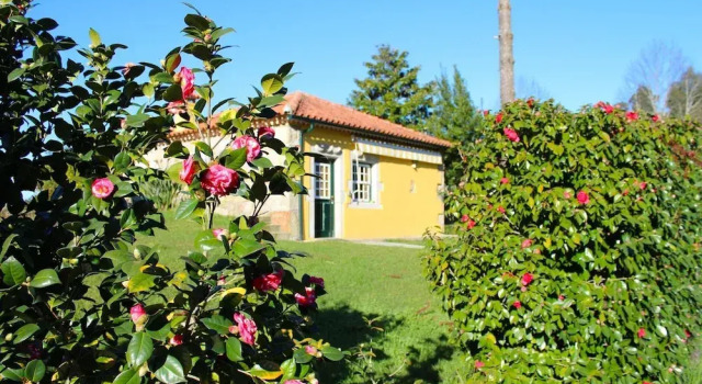 Casa do Pelourinho, Rezerwuj Dom wakacyjny Domki letniskowe w Norte Region, Domek