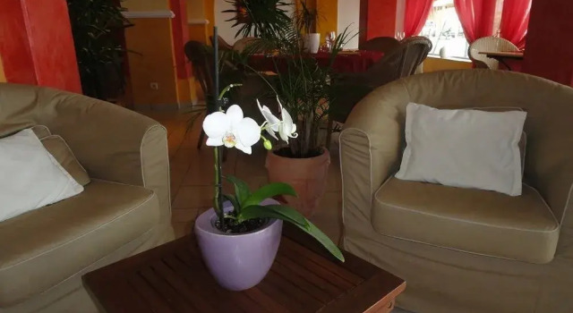 Hôtel & Spa La Villa, Забронировать Курортный отель Сент-Максим Mimosa Road