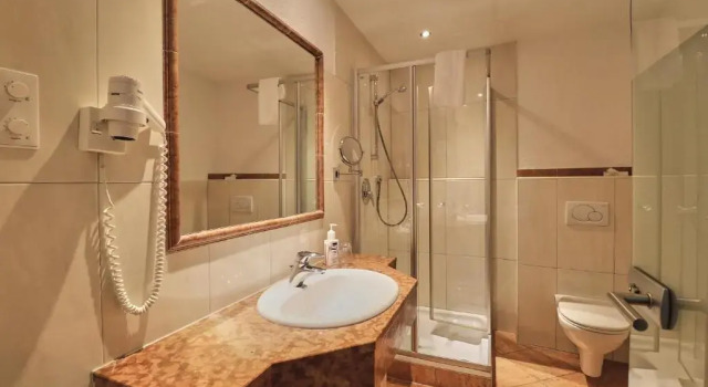 Двухместный номер Standard Hotel Traube
