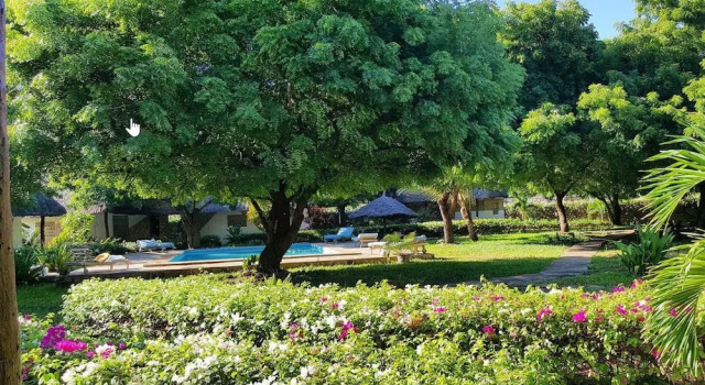 Номер Standard Watamu Eco Villas