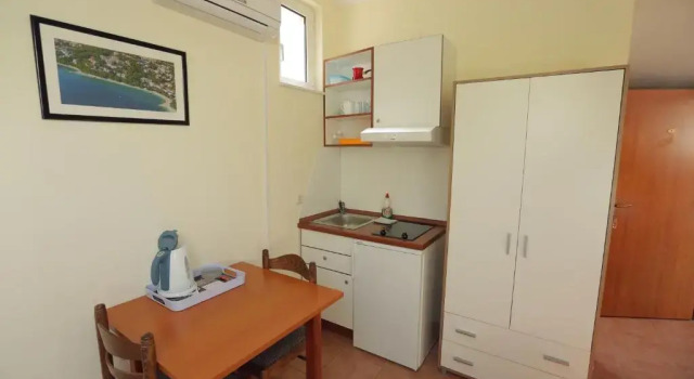 Студия Apartments Vila Adrijana and Fitness Studio Wolf