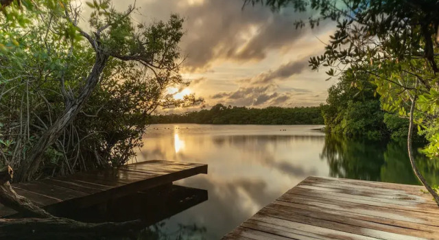 Yaxchen Tulum Cabañas & Cenote, Rezervați Casă de vacanță Vile în Tulum, Vilă