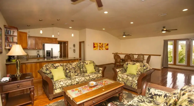 Turtle Casa 6