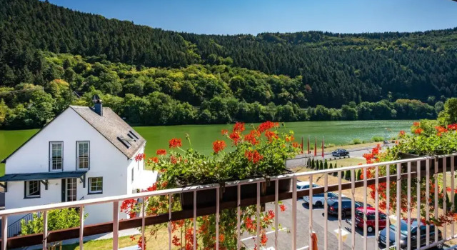 Двухместный номер Standard с балконом Hotel Bisenius