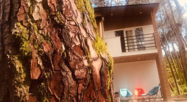 Вилла VIP Sweet Home in Shekvetili