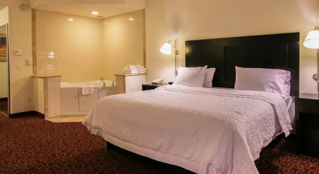 Двухместная студия Hampton Inn Kingston