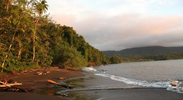 Mapara Lodge, Buchen Sie Hotel Bahía Solano Choco