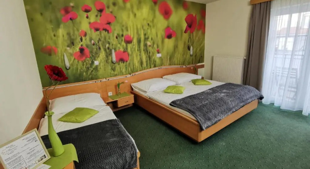Трёхместный номер Standard Hotel & Wirtshaus Hödl-Kaplan