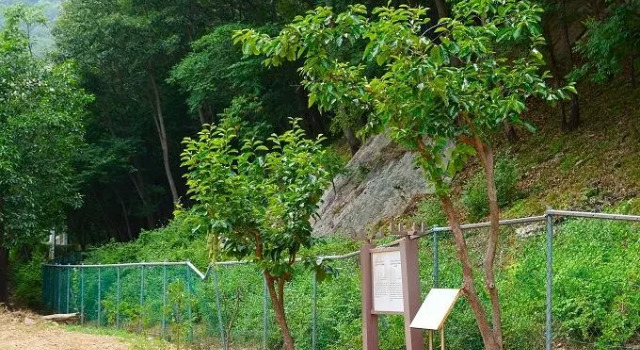 Buan Moolsarang Pension, Reserva ahora Hotel Buan Jeolla del Norte