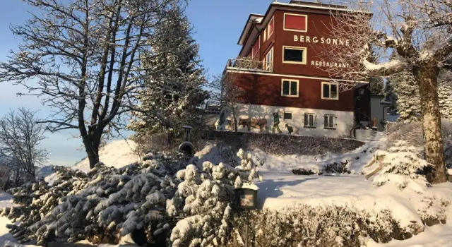 Номер Standard с видом на горы Hotel Bergsonne Rigi Kaltbad