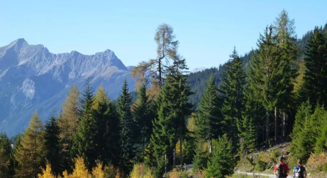 Шале Waldhütte