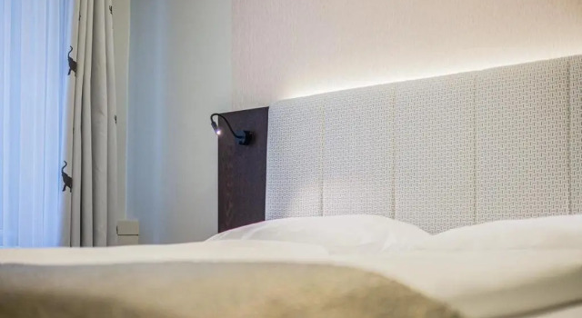 Номер Superior Hotel Elefant