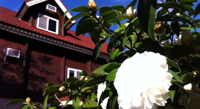 CRYSTAL RESORT - Continental Club, Book Ferieresort 4-stjernede hoteller i Yuchi, 4*
