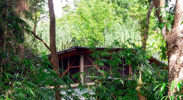 Студия Omega Tours Adventure Company & Eco Jungle Lodge