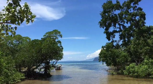 Nomad Divers Bangka, Buchen Sie Resort Manado Sulawesi Utara