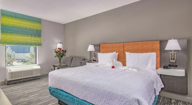 Номер Deluxe Hampton Inn Houston NASA-Johnson Space Center