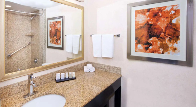 Номер Standard Embassy Suites by Hilton Colorado Springs