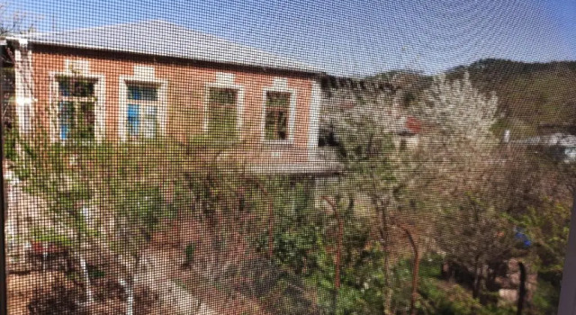 Двухместный номер Standard Makos Guest House