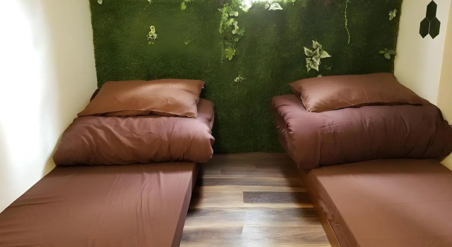 Lohas Villa - Hostel