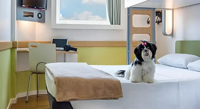 Двухместный номер Standard ibis budget Belo Horizonte Minascentro