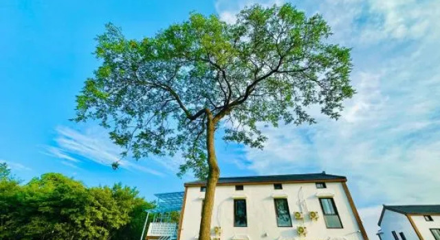 Wangyuan Hotel, Boek Hotel Nanjing Jiangsu