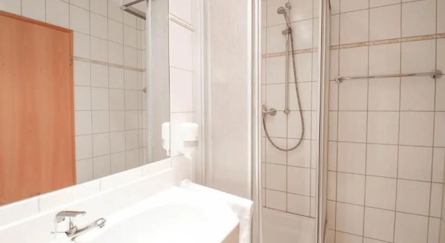 Standard single cameră Ferien Hotel Südharz