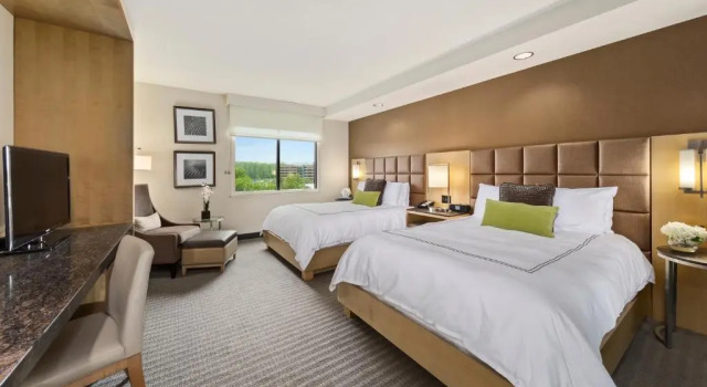 Четырёхместный номер Standard The Hotel at Arundel Preserve