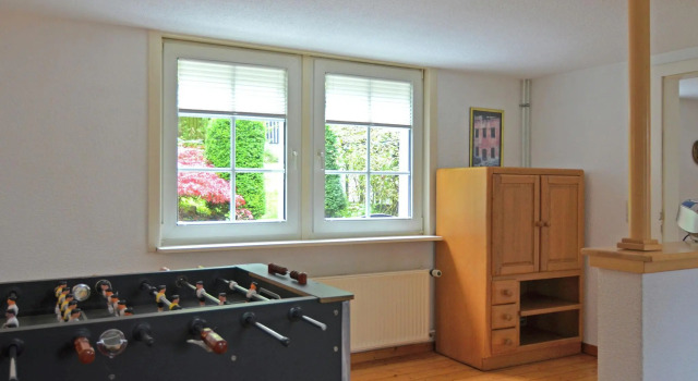 Large holiday home in the Sauerland region with sauna, fitness equipment, garden and terrace