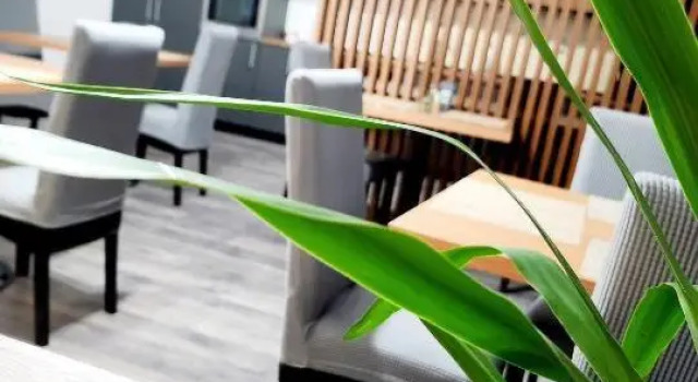 Arminas Residence Villa, Reserva ahora Villa Timisoara 