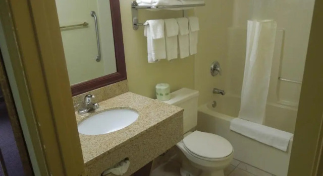 Четырёхместный номер Standard Quality Inn & Suites Dublin