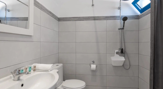 Трёхместный номер Standard Hotel Nathalie