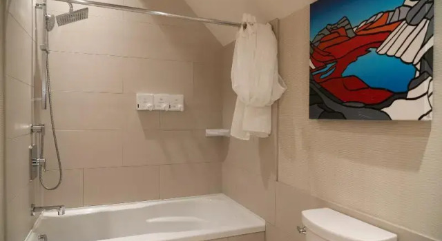 Standardní Dvoulůžkový s manželskou postelí pokoj 2 pokoje s balkonem Moose Hotel And Suites