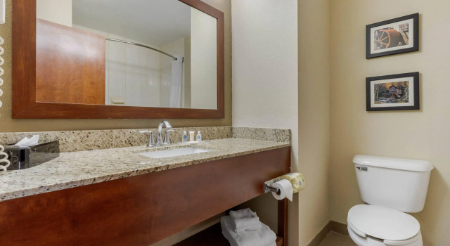 Четырёхместный люкс Comfort Suites Johnson City near University