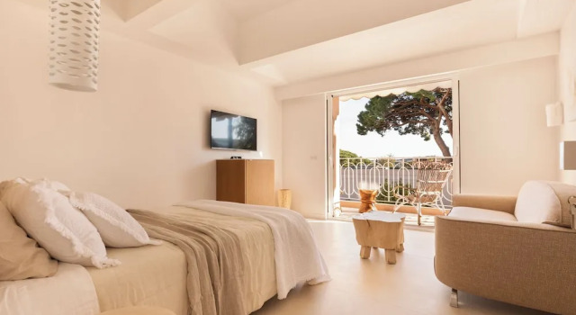 Студия Deluxe Maison Carla Rosa Cannes