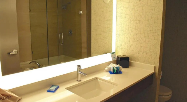 Номер Standard Holiday Inn Express Vancouver Airport-Richmond by IHG