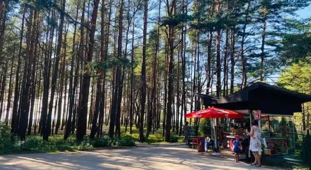 Vaivorykštės terasos, Book Hotel Hotels in Klaipeda with a Pool, Swimming Pool