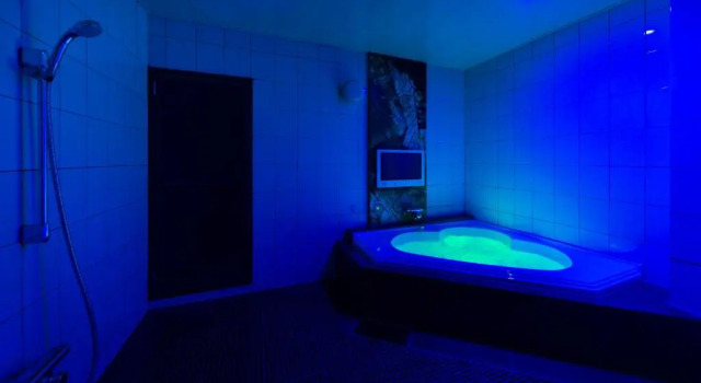 Номер Standard Hotel Plant Garden Resort