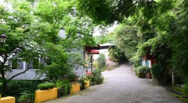 Pear Story House