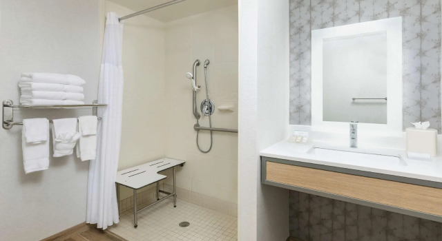 Четырёхместный номер Standard Hilton Garden Inn Greenville