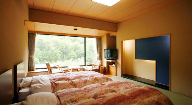 Двухместный номер Standard Sounkyo Kankou Hotel