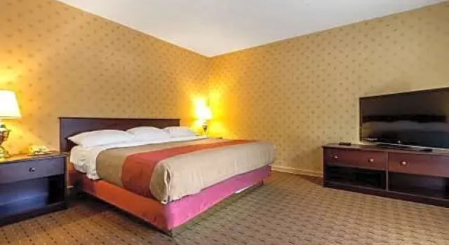 Номер Deluxe Motel 6-Trenton, ON