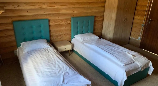 Standard Zimmer Dream Forest