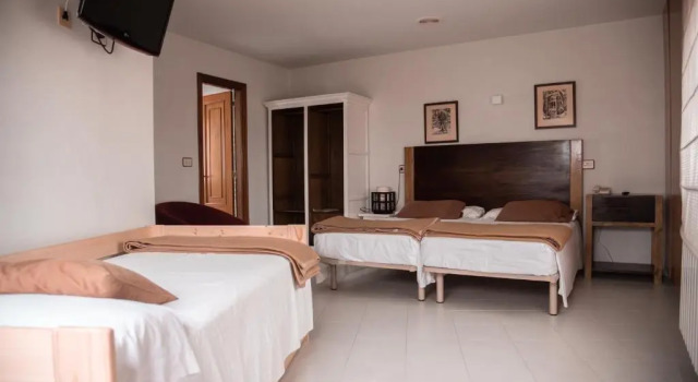 Трёхместный номер Standard Hotel Los Olmos