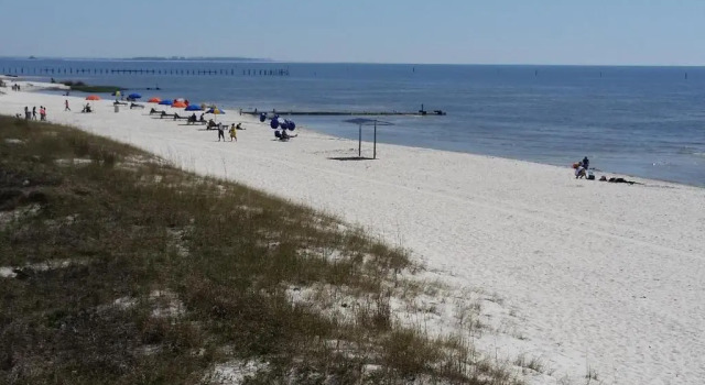 Апартаменты Beach Comber at Oak Shores
