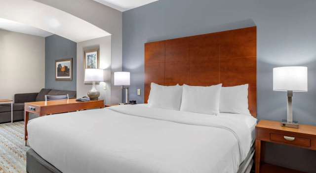 Двухместный люкс Comfort Inn & Suites Cleveland TX