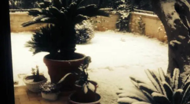 Les Fleurs b&b, Buchen Sie Bed & Breakfast Bari Metropolitanstadt Bari