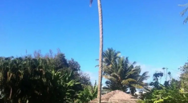 Double villa Muri Beachcomber
