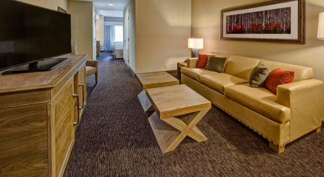 Четырёхместный полулюкс Black Fox Lodge Pigeon Forge, Tapestry Collection by Hilton